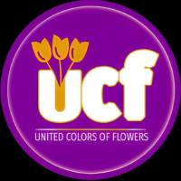 United Colors of Flowers